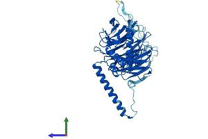 Protein Structure (PS) image for DDB1 and CUL4 Associated Factor 13 (DCAF13) (AA 1-445) protein (His tag) (ABIN7546952)