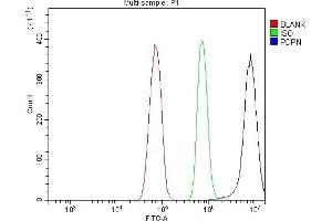 Flow Cytometry analysis of RH35 cells using anti-Podoplanin/gp36/Pdpn antibody (ABIN7600811).