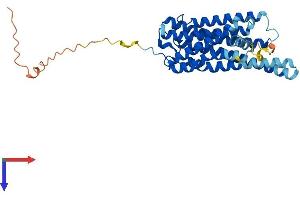 G Protein-Coupled Receptor 12 Protein (GPR12) (AA 1-334) (His tag)