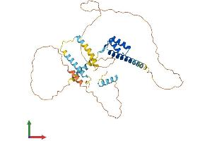 Protein Structure (PS) image for Diencephalon/mesencephalon Homeobox 1 (DMBX1) (AA 1-381) protein (His tag) (ABIN7560150)