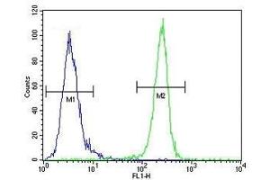 Flow Cytometry (FACS) image for anti-VEGF Receptor 2 (VEGFR2) (AA 1326-1356) antibody (ABIN3028781)