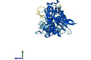 APOBEC3G Protein (AA 1-384) (His tag)
