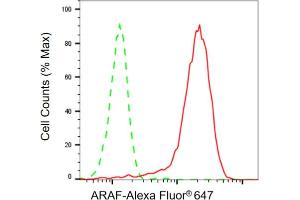 Flow cytometric analysis of ARAF expression in HepG2 cells using ARAF antibody ( (ABIN7800798), 1:2,000). (Rekombinanter ARAF Antikörper)