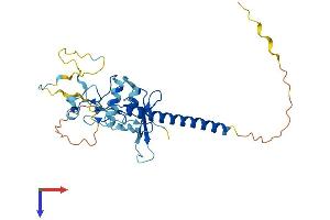 MBD3 Protein (AA 1-291) (His tag)