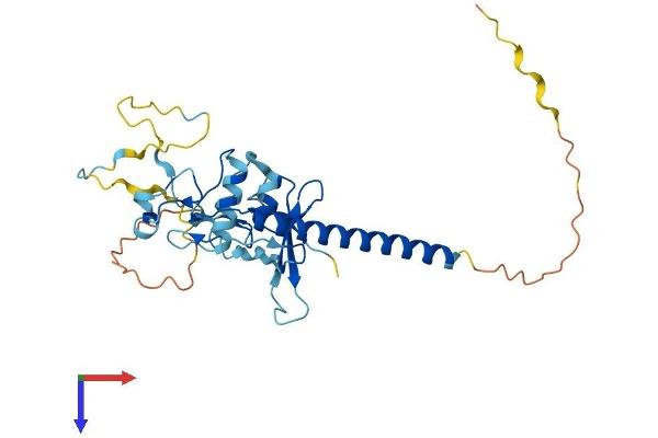 MBD3 Protein (AA 1-291) (His tag)
