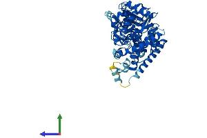 Protein Structure (PS) image for Cytochrome P450, Family 4, Subfamily F, Polypeptide 3 (CYP4F3) (AA 1-520) protein (His tag) (ABIN7553569)