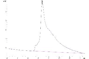 The purity of Cynomolgus GFRAL is greater than 95 % as determined by SEC-HPLC. (GFRAL Protein (AA 20-351) (His-Avi Tag))