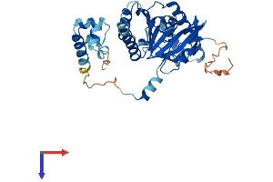 RAD51C Protein (AA 1-376) (His tag)