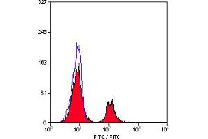 Staining of rat peripheral blood lymphocytes with RAT ANTI HUMAN CD79b:FITC (ABIN119698) after permeabilisation (CD79b Antikörper  (Intracellular) (FITC))