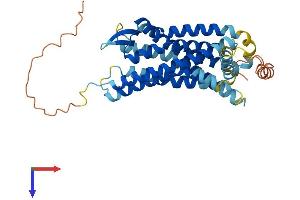 CCR6 Protein (AA 1-374) (His tag)