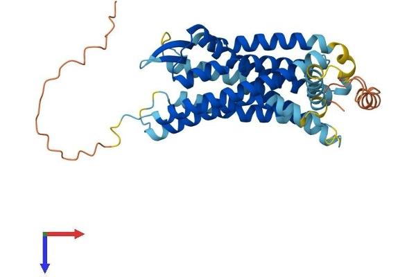 CCR6 Protein (AA 1-374) (His tag)