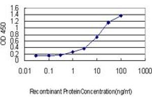 Detection limit for recombinant GST tagged RHEB is approximately 0. (RHEB Antikörper  (AA 1-184))