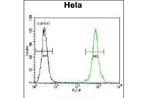Flow cytometric analysis of Hela cells (right histogram) compared to a negative control cell (left histogram). (TRADD Antikörper  (AA 126-151))