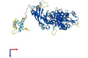 Cep76 Protein (AA 1-659) (His tag)