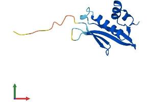 Protein Structure (PS) image for Chromosome 17 Open Reading Frame 103 (C17ORF103) (AA 1-110) protein (His tag) (ABIN7561305)