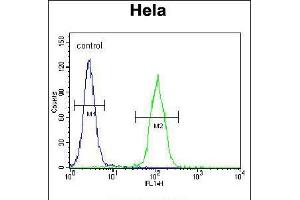 Flow cytometric analysis of Hela cells (right histogram) compared to a negative control cell (left histogram). (LMTK3 Antikörper  (N-Term))