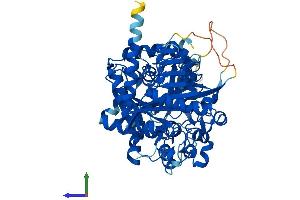 Protein Structure (PS) image for Fucose-1-Phosphate Guanylyltransferase (FPGT) (AA 1-590) protein (His tag) (ABIN7562159)
