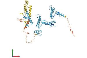 AlphaFold protein structure predicition of Human Recombinant ZNF506 Protein, UniprotID Q5JVG8