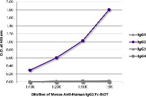 ELISA image for Mouse anti-Human IgG2 (Fc Region) antibody (ABIN135632)