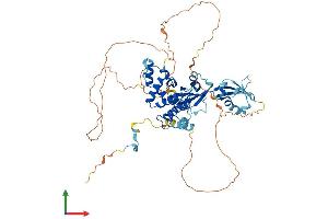 Protein Structure (PS) image for Regulator of G-Protein Signaling 14 (RGS14) (AA 1-547) protein (His tag) (ABIN7563558)