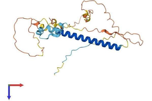 Chromosome 1 Open Reading Frame 190 (C1orf190) (AA 1-239) protein (His tag)
