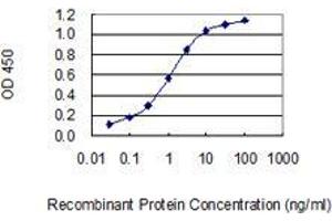 Detection limit for recombinant GST tagged GABRE is 0. (GABRE Antikörper  (AA 1-100))
