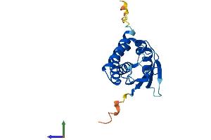 Protein Structure (PS) image for BET3 Like (BET3L) (AA 1-181) protein (His tag) (ABIN7557384)