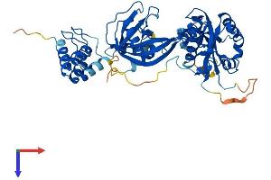 NUDT12 Protein (AA 1-462) (His tag)