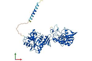 Protein Structure (PS) image for Fukutin Related Protein (FKRP) (AA 1-494) protein (His tag) (ABIN7559318)