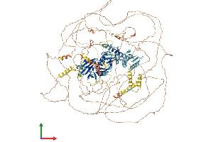 Protein Structure (PS) image for Mediator Complex Subunit 1 (MED1) (AA 1-1575) protein (His tag) (ABIN7564869)