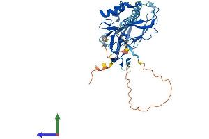 Protein Structure (PS) image for Cell Growth Regulator with Ring Finger Domain 1 (CGRRF1) (AA 1-332) protein (His tag) (ABIN7553427)