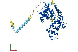 AlphaFold protein structure predicition of Mouse Recombinant Chst11 Protein, UniprotID Q9JME2
