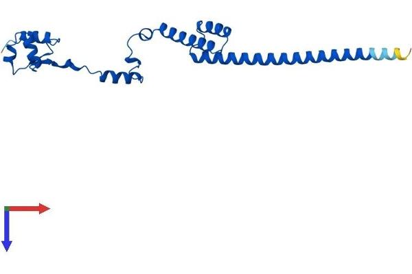 RPL19 Protein (AA 1-196) (His tag)