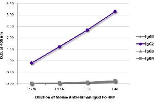 ELISA plate was coated with purified human IgG1, IgG2, IgG3, and IgG4. (Maus anti-Human IgG2 (Fc Region) Antikörper (HRP))