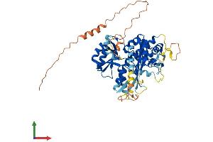 Protein Structure (PS) image for Lengsin, Lens Protein with Glutamine Synthetase Domain (LGSN) (AA 1-509) protein (His tag) (ABIN7549059)