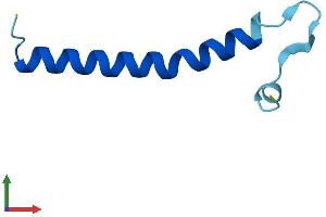 Protein Structure (PS) image for Translocase of Outer Mitochondrial Membrane 7 Homolog (TOMM7) (AA 1-55) protein (Fc Tag) (ABIN7560870)