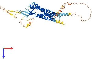 GSG1 Protein (AA 1-349) (His tag)