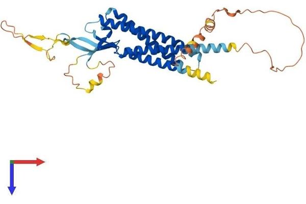 GSG1 Protein (AA 1-349) (His tag)