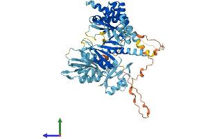 Protein Structure (PS) image for Insulin-Like Growth Factor 2 mRNA Binding Protein 3 (IGF2BP3) (AA 1-579) protein (His tag) (ABIN7554136)