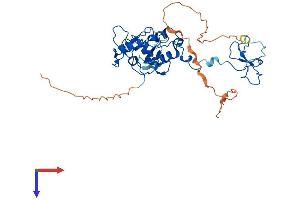 PHF7 Protein (AA 1-381) (His tag)
