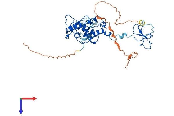 PHF7 Protein (AA 1-381) (His tag)