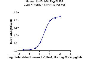 ELISA image for Interleukin 13 (IL13) (AA 21-132) protein (Fc Tag) (ABIN7274892)