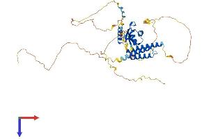 CPSF7 Protein (AA 1-471) (His tag)