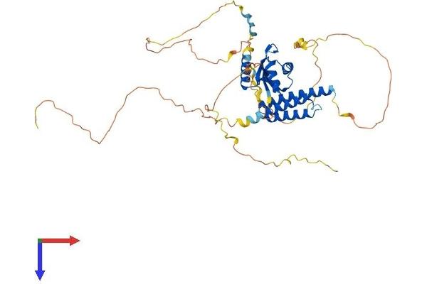 CPSF7 Protein (AA 1-471) (His tag)