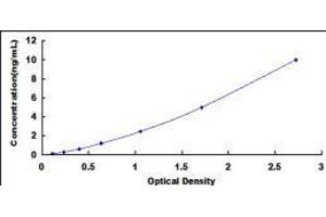 Nuclear Factor I/B (NFIB) ELISA Kit