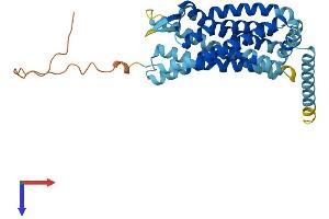 CCR9 Protein (AA 1-369) (His tag)