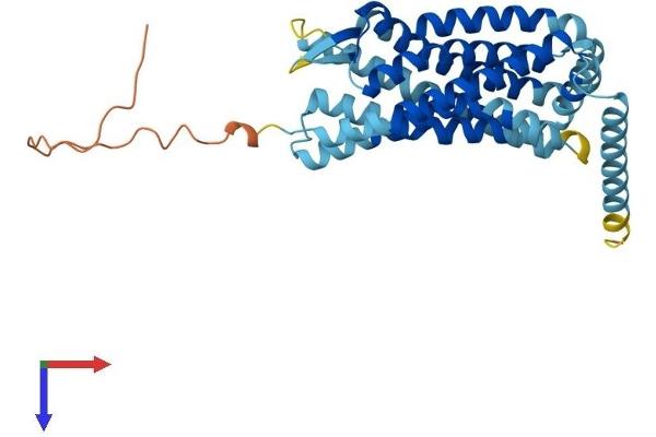 CCR9 Protein (AA 1-369) (His tag)