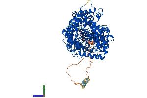 Protein Structure (PS) image for Membrane Metallo-Endopeptidase-Like 1 (MMEL1) (AA 1-779) protein (His tag) (ABIN7554565)