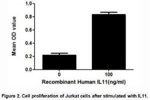 IL11 (Interleukin-11) is a multifunctional cytokine first isolated from bone marrow-derived stromal cells.
