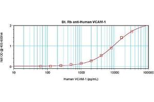 Sandwich ELISA using CD106 / VCAM1 antibody